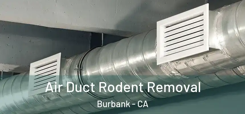 Air Duct Rodent Removal Burbank - CA