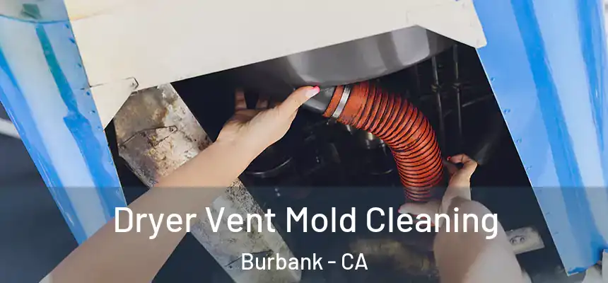 Dryer Vent Mold Cleaning Burbank - CA