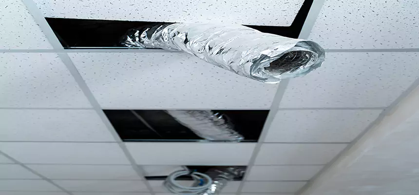 Affordable HVAC Sanitizing After Pest Removal in Burbank