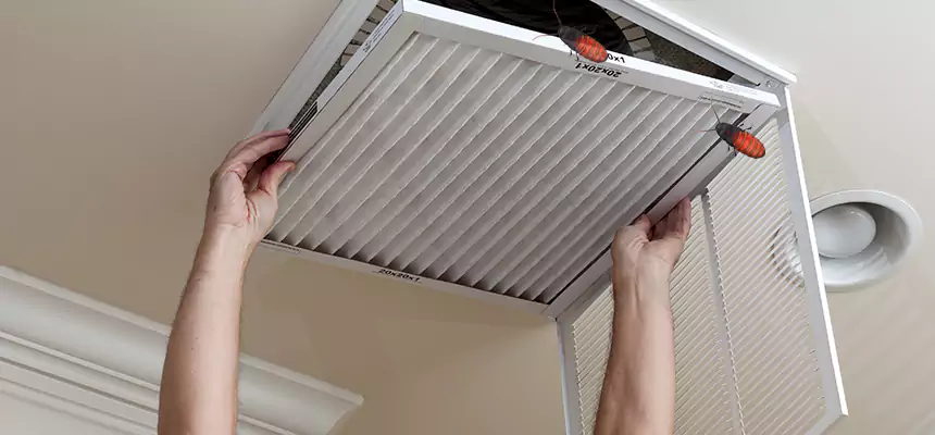 Our Insect Removal from Air Ducts Services in Burbank, CA
