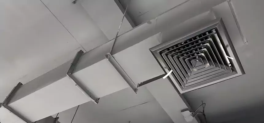 Our Rodent Droppings In Vents Services in Burbank, CA