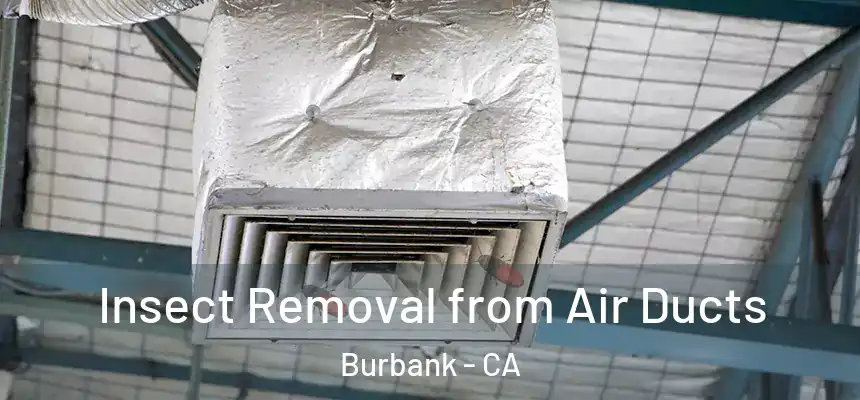 Insect Removal from Air Ducts Burbank - CA