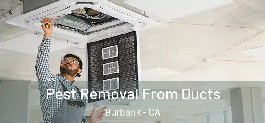 Pest Removal From Ducts Burbank - CA