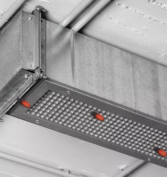 About Air Duct Cockroach Removal in Burbank, CA