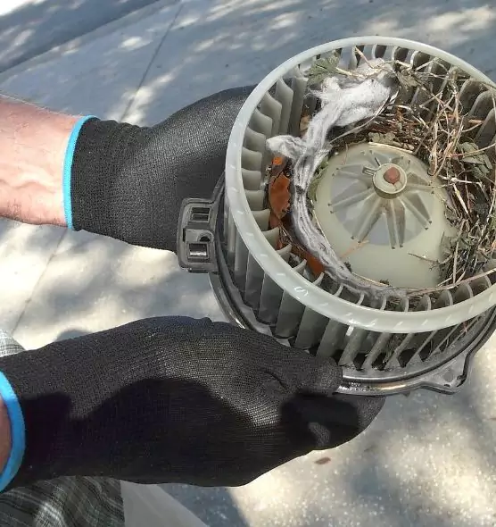 About Air Duct Mice Removal in Burbank, CA