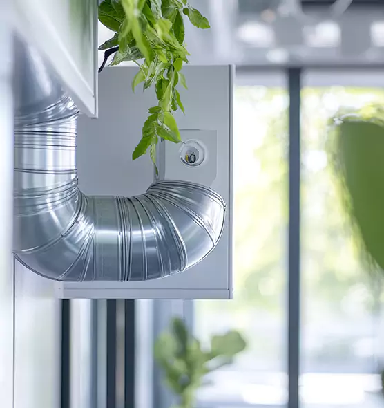 Professional Eco-Safe Dryer Vent Cleaning in Burbank, CA