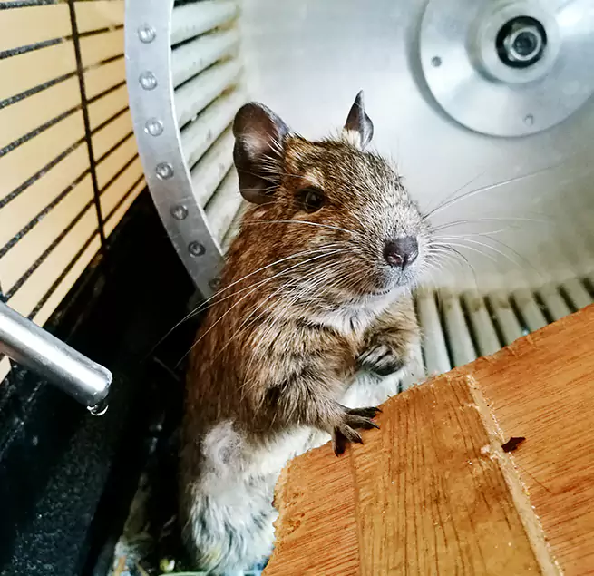 Why Homeowners & Businesses Trust Us Burbank, CA?