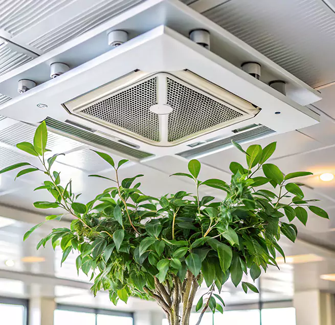 Why Homeowners & Businesses Trust Us in Burbank, CA?