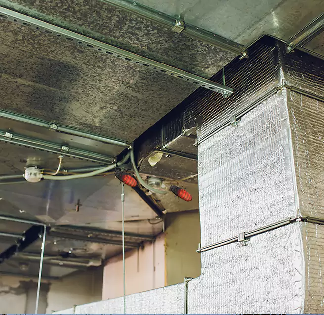 Why Homeowners & Businesses Trust Us Burbank, CA?