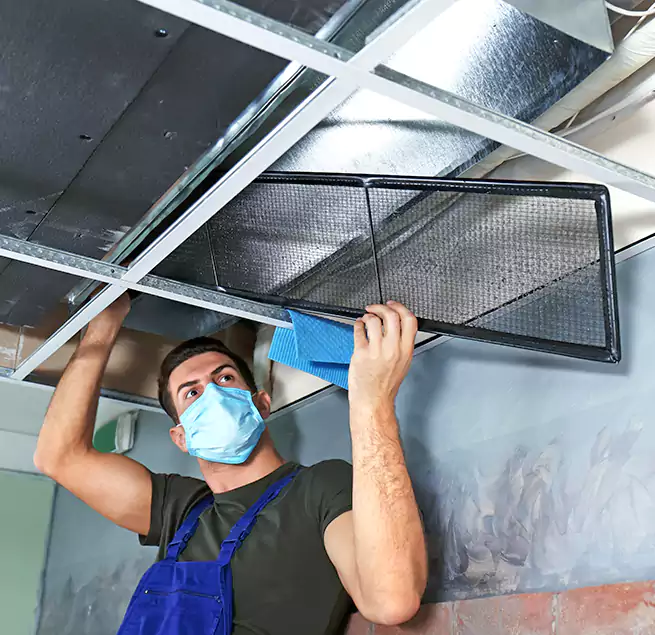 Why Homeowners Businesses Trust Us in Burbank, CA